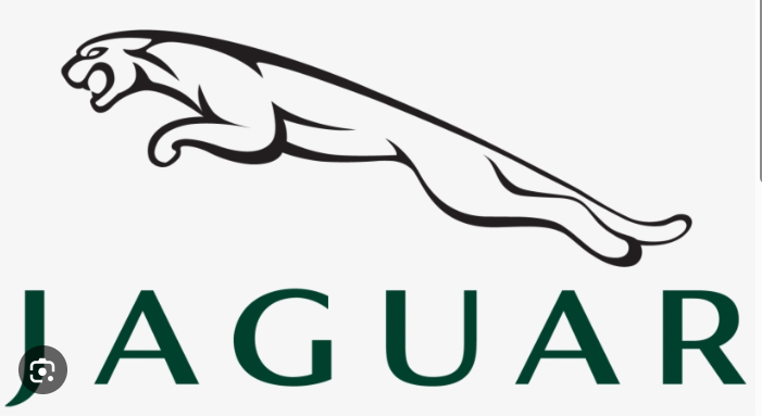 Bronze / Supporting Sponsor